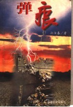 弹痕  下