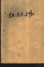 丈夫太太与情人  <em>陈<em>香梅</em></em>小说选