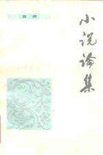 小说论集