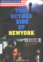 纽约沉渣  城市犯罪纪实
