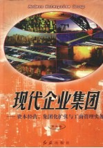 现代企业集团：资本经营、集团化扩张与工商管理实务  第3卷