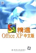 精通Office XP中<em>文</em>版