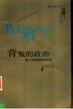 背叛的政治  第三条道路理论研究