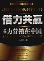 借力共赢：6力营销在中国