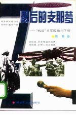 最后的支那梦  “残留”日军败绩与下场