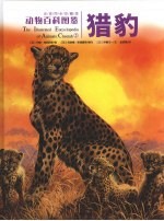 动物百科图鉴  猎豹  全球同步珍藏版