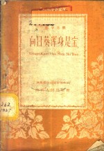向日葵浑身是宝