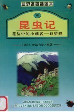 昆虫记  2  花丛中<em>的小</em>刺客：狩猎蜂