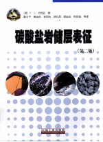 碳酸盐岩储层表征  第2版