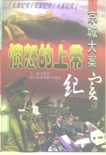 愤怒的上帝  京城大案纪实