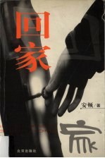 回家  绝对隐私·当代<em>中国</em>人情感口述实录之二
