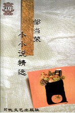 邹当荣小小说精选