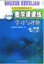 数学课课练学习与评价  七年级  上