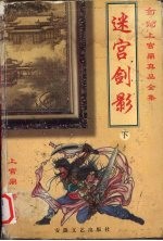 迷宫剑影  下