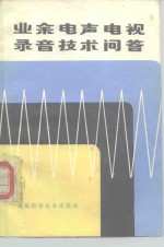 <em>业余</em>电声电视录音技术问答