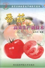 番茄高效<em>生产</em><em>新<em>技术</em></em>