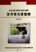 反刍式单元教学法图片集锦  岁月有为喜留痕