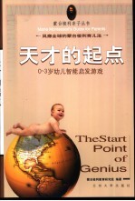 天才的起点  0-3岁幼儿智能启发游戏