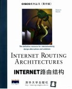 <em>Internet</em>路由结构