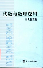代数与数理逻辑  王世强文集