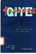 中小企业经营术  下