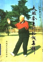 术极<em>拳</em>系列知识集锦