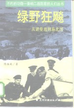 绿野狂飚  从诺曼底到易北河
