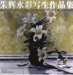 <em>朱辉</em>水彩写生作品集