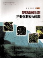 沙土桑树生态产业化<em>开发</em>与<em>利用</em>
