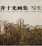 乔十<em>光</em>画集  写生