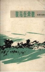 <em>骏马</em>在奔驰  短篇小说集