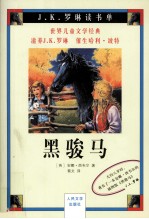 黑<em>骏马</em>