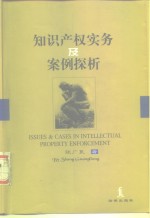 知识产权实务及案例探析