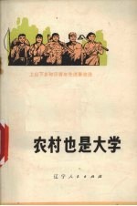 农村也是大学  上山下乡知识青年先进事迹选