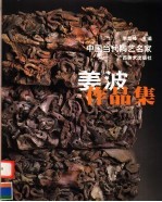 姜波<em>作</em>品集  中英文本
