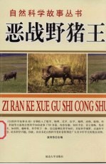 恶战野猪王  猪兔故事