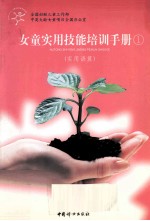 女童<em>实用</em>技能培训<em>手册</em>  1  <em>实用</em>语算
