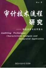 审计技术流程  个性特征<em>与</em><em>运用</em>整合