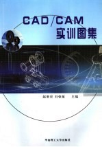 <em>CAD</em>/<em>CAM</em>实训图集