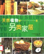 天然植物营造另类家居