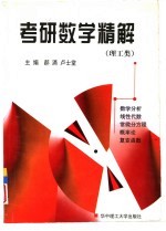 考研数学精解  理工类