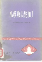 <em>小</em>模数齿轮加工