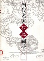 当代名家花鸟画稿  2