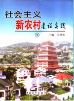 社会主义新农村建设实践  下