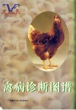 <em>禽病</em>诊断图谱