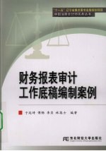 <em>财务</em><em>报表</em>审计工作底稿<em>编制</em>案例