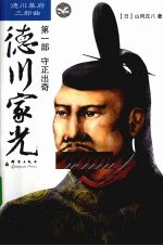 德川家光  第1部  守正出奇