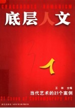 底层人文  当代艺术的21个案例