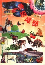 鱼的秘密  7