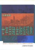 廿年目睹金融怪现象